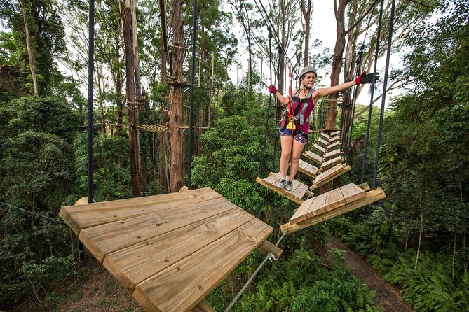 Sunshine Coast Adventure Park TreeTop Challenge - Your 2.5–3.5 hour plan: timing that keeps you from feeling rushed