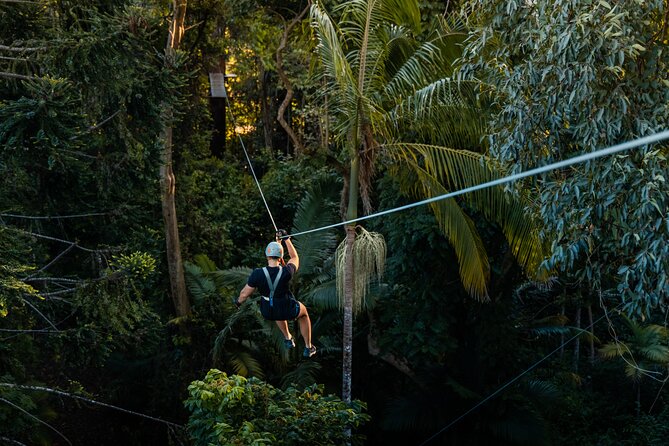 Sunshine Coast Adventure Park TreeTop Challenge - Price and value: is $50.21 worth it?