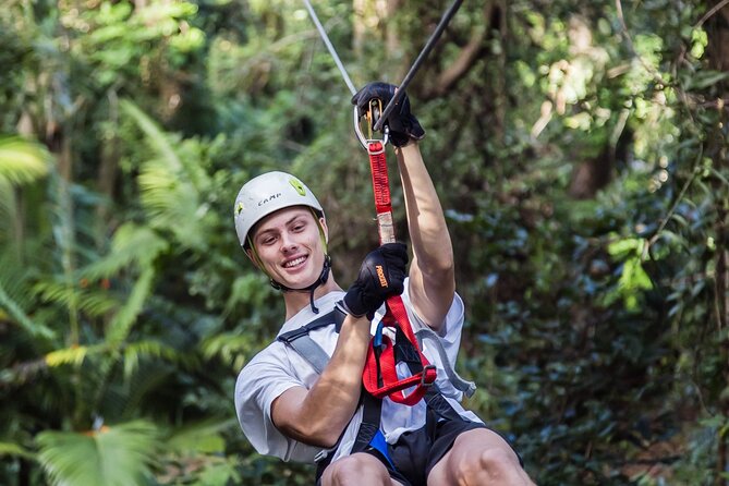 Sunshine Coast Adventure Park TreeTop Challenge - Who should book this treetop challenge?