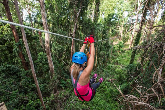 Sunshine Coast Adventure Park TreeTop Challenge - Rope courses and ziplines you can actually work through