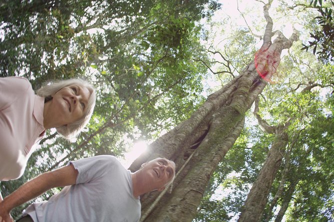Sunshine Coast and Noosa Private Tour Inc. 2-Course Gourmet Lunch - Montville: shops, boutiques, and a slower mountain feel