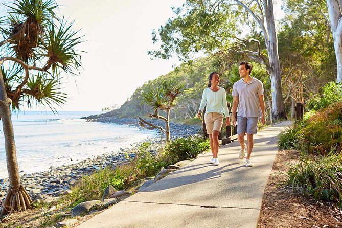 Sunshine Coast and Noosa Private Tour Inc. 2-Course Gourmet Lunch - Optional cellar door: Clouds Montville or Flame Hill Vineyard