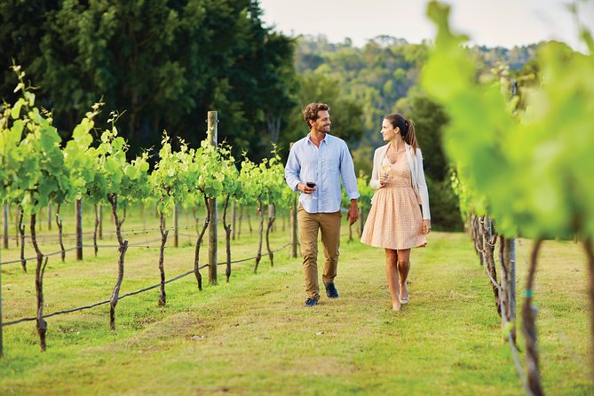 Sunshine Coast and Noosa Private Tour Inc. 2-Course Gourmet Lunch - Mary Cairncross Scenic Reserve and the Glass House Mountains Lookout