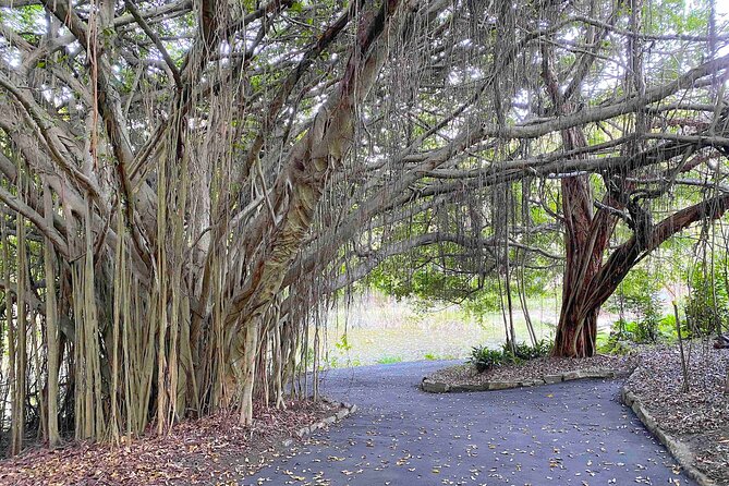 Sunshine Coast Hidden Country Delights Private Tour - The guide factor: Joel’s flexible style and local storytelling