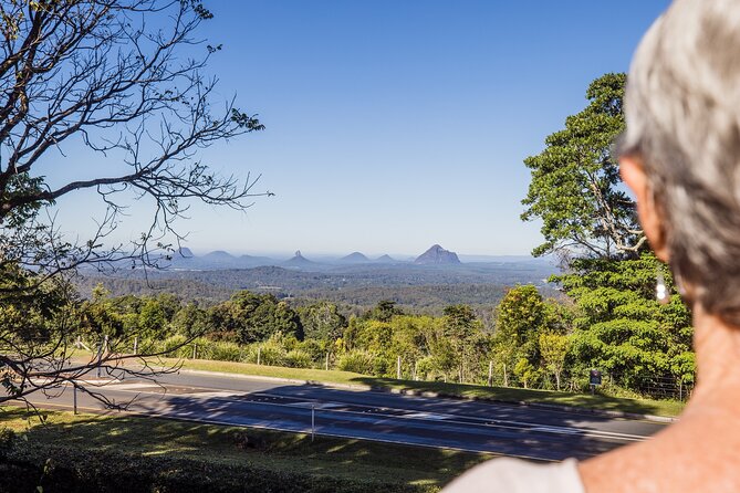 Sunshine Coast Hinterland Scenic Culinary Experience: Montville - The Maleny cheese experience: local meets international