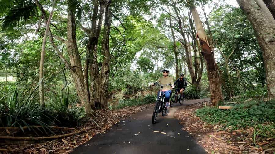 Sunshine Coast: Maleny Magic Guided e-Bike Tour - Getting comfortable on e-bikes without it turning into work