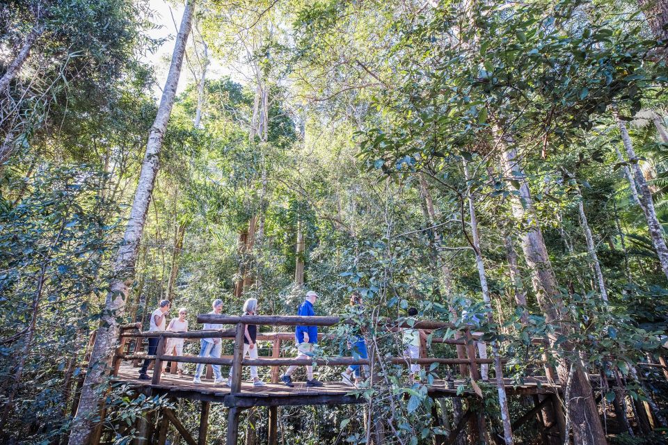 Sunshine Coast & Noosa Hinterland Scenic Culinary Experience - Mary Cairncross Scenic Rainforest Reserve and Glass House Mountains views