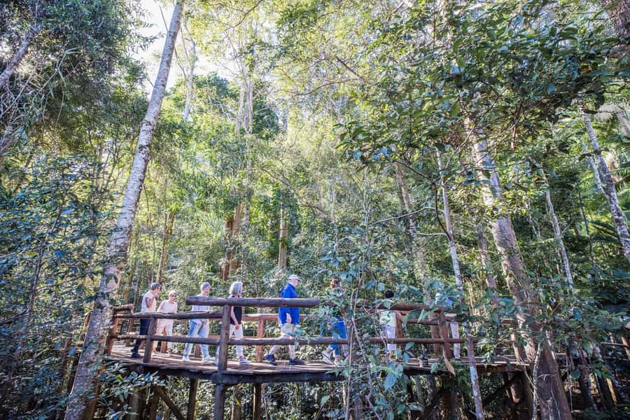 Sunshine Coast & Noosa Hinterland Scenic Culinary Experience - Montville free time: the shopping break that feels earned