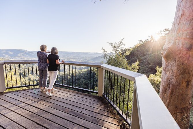 Sunshine Coast & Noosa Private Wine Tour Inc. Lunch & Tastings - Montville Free Time: Art, Cafes, and the Chocolate Country Add-On