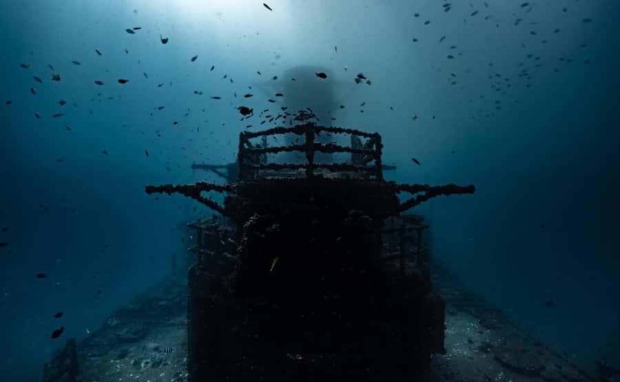 Sunshine Coast: Scuba Dive the Ex-HMAS Brisbane Ship Wreck - Water clarity, swell, and the real cold-water checklist