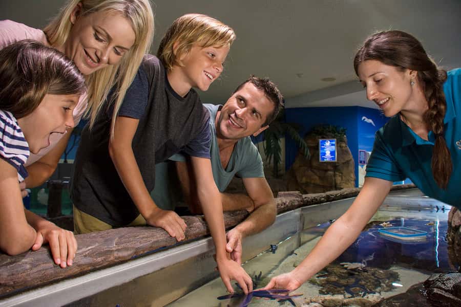 Sunshine Coast: SEA LIFE Sunshine Coast Entry Ticket - Key highlights you’ll remember