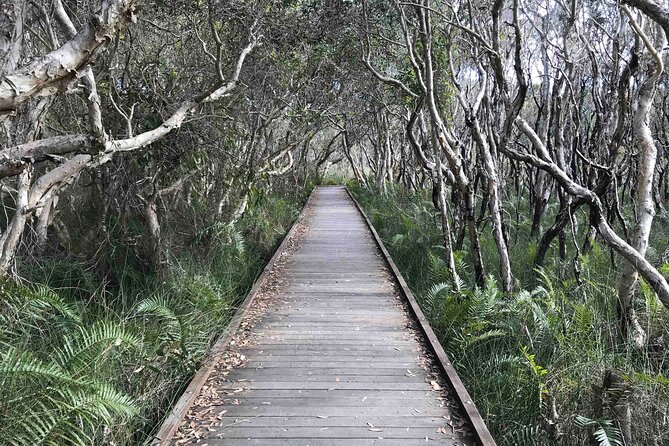 Sunshine Coast Seaside Explorer Private Tour with Lunch - Mudjimba and Old Woman Island: a short stop that still gives you sand time