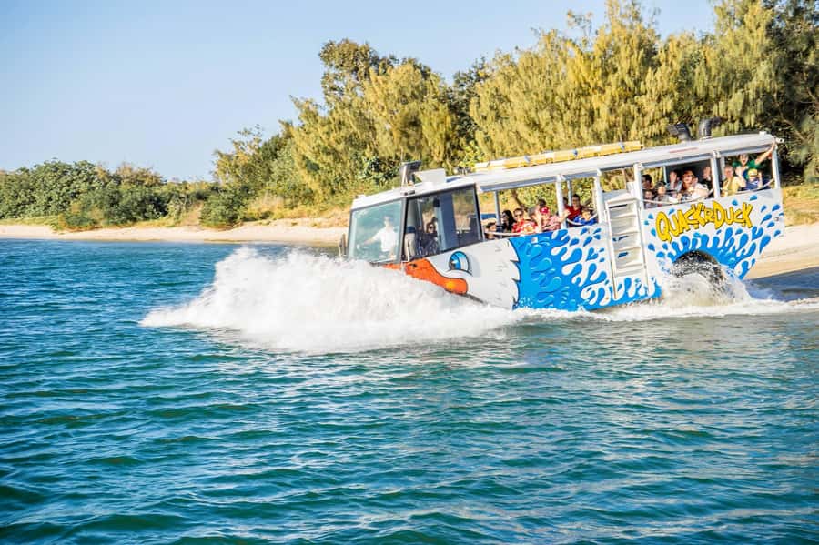 Surfers Paradise: Guided Gold Coast Amphibious Bus Tour - Surfers Paradise Beaches: Your Front-Row Look at the Famous Sand
