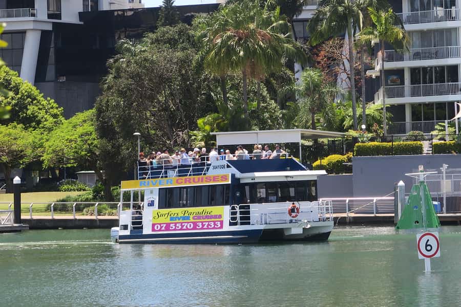 Surfers Paradise: Sightseeing Midday River and Canal Cruise - What you’ll actually see: yachts, waterfront homes, and dolphins