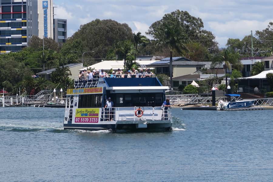 Surfers Paradise: Sightseeing Morning River and Canal Cruise - Gold Coast waterways and the Broadwater: yachts, wildlife, and dolphin luck