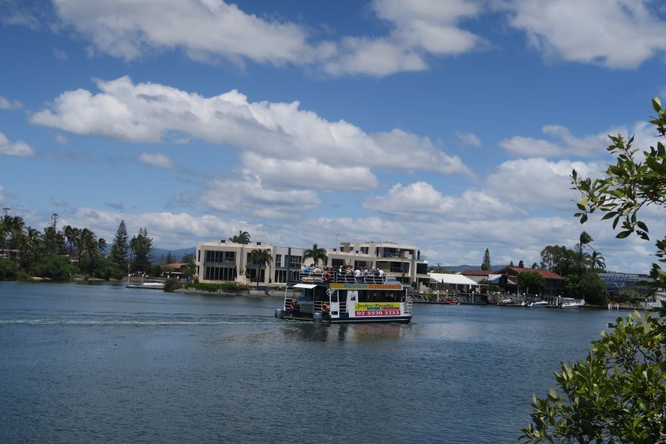 Surfers Paradise: Sightseeing Morning River and Canal Cruise - Photography and wildlife viewing: how to get the best moments