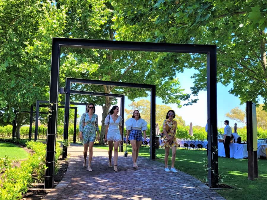 Swan Valley Boutique Wine Tour - Who this tour fits best (and who might want a different plan)