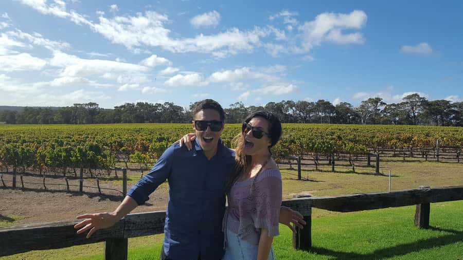 Swan Valley Boutique Wine Tour - Should you book the Swan Valley Boutique Wine Tour?