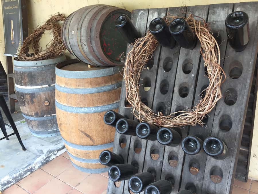 Swan Valley: Half-Day Wine Tour From Perth - The role of the guide: why names like Sue really matter