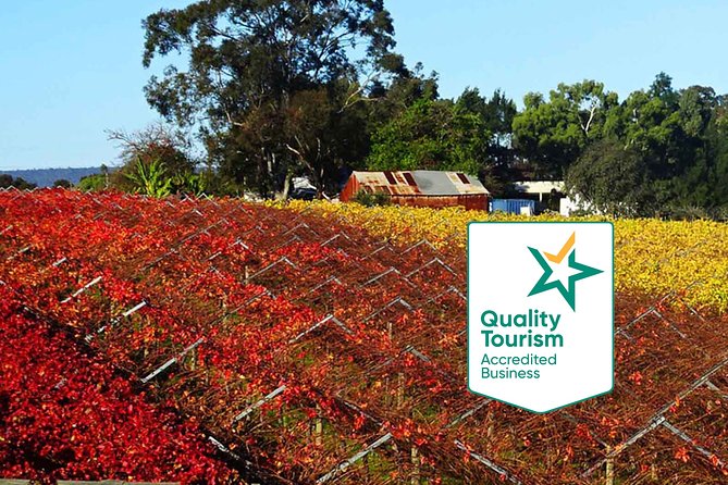 Swan Valley Region Private Day Tours - Key things I’d plan around