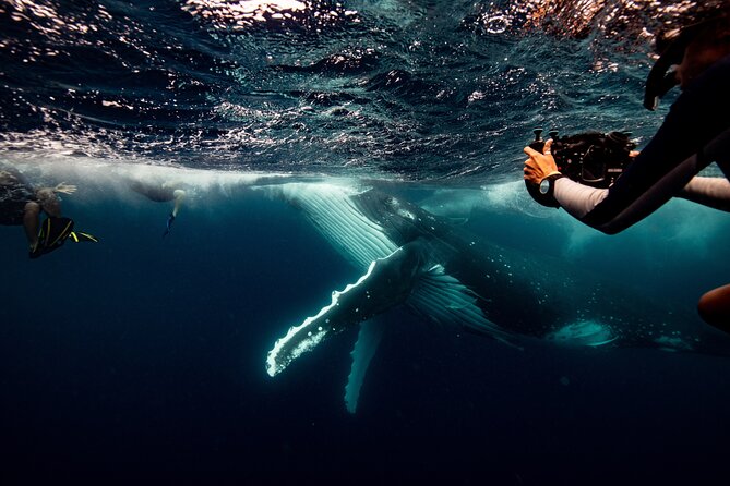 Swim with Whales Gold Coast - Setting Off at 6:30 am from Chinderah Bay