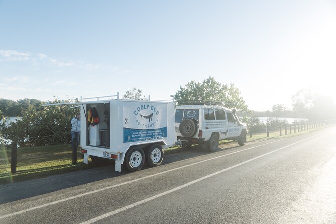 Swim with Whales Gold Coast - Tweed River Stop: Final chances in the morning light
