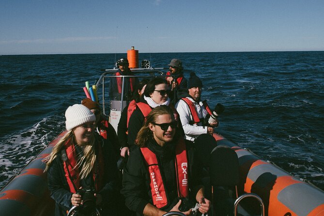 Swim with Whales Gold Coast - What’s Included: Gear, snacks, and the post-swim reset