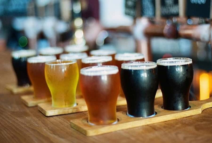 Sydney: 3-Hour Craft Beer and Breweries Tour - What Makes the Guiding Style So Important