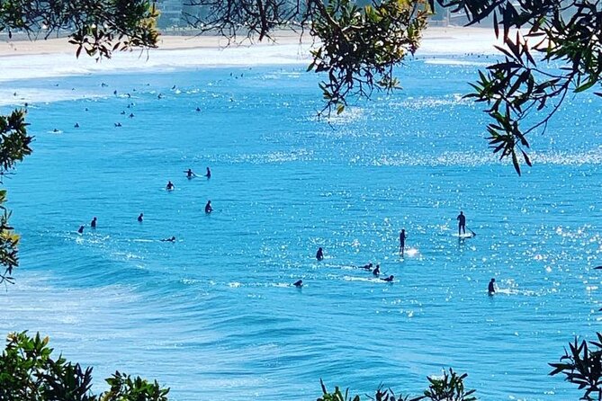 Sydney 6 Hour Private Tour - Optional add-ons: choose nature, food, art, or bohemian neighborhoods