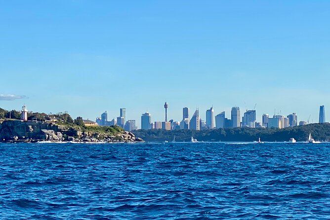 Sydney Beaches Half Day Drive and Walk Tour - Watsons Bay finish: a relaxed end with a ferry option