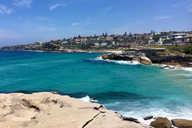 Sydney Beaches Half Day Drive and Walk Tour - Price and what you’re really paying for at about $200