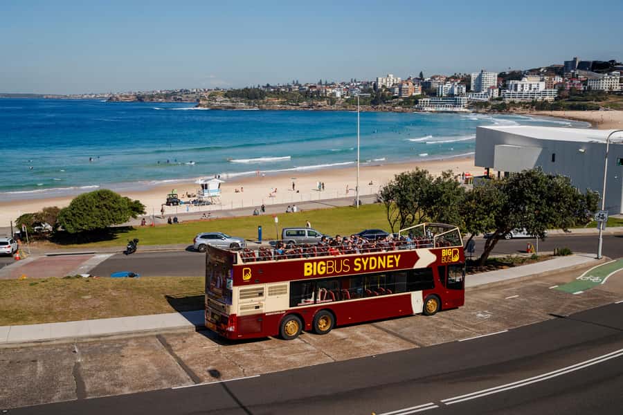 Sydney: Big Bus Hop-On Hop-Off Tour with Optional Cruise - Timing Tips: Red Route, Blue Route, and Transfer Confidence