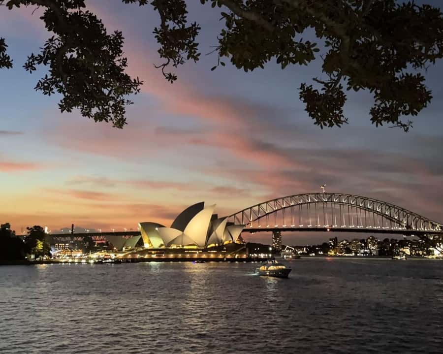Sydney: Big Bus Panoramic Night Tour by Open-Top Bus - Mrs Macquarie’s Chair Photo Stop: The Best Window for Skyline Shots