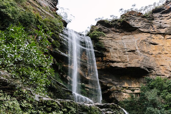 Sydney Blue Mountains Day Tour with Wildlife Park and Waterfalls - Key things I think you’ll care about most