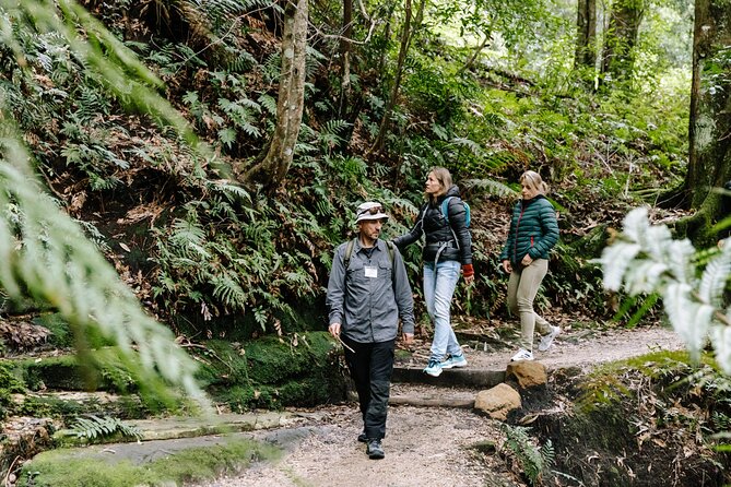 Sydney Blue Mountains Day Tour with Wildlife Park and Waterfalls - Featherdale Wildlife Park: The best start before the mountain air