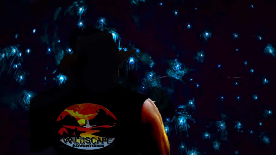 Sydney: Blue Mountains Glow Worms Wild Adventure by Night - Why This Night Glow-Worm Cave Trip Feels Different