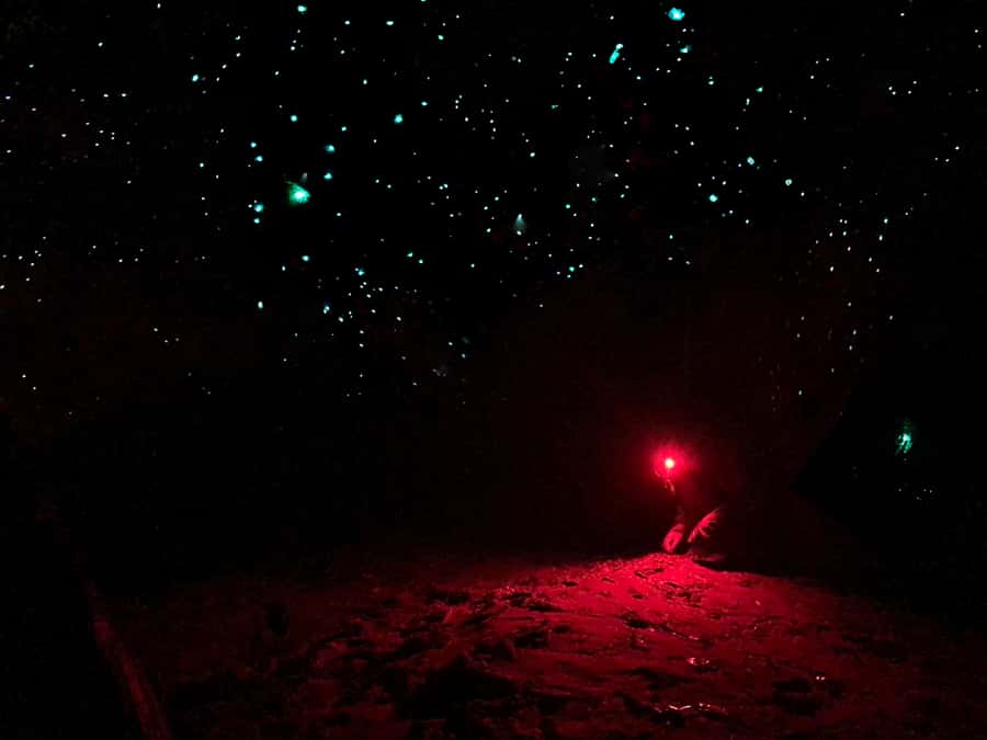 Sydney: Blue Mountains Glow Worms Wild Adventure by Night - The Ride Out: What the Transportation Adds