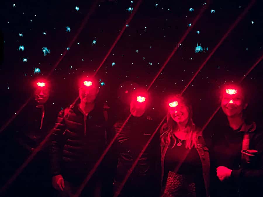 Sydney: Blue Mountains Glow Worms Wild Adventure by Night - The Glow Worm Cave Moment (and How to Get the Best View)