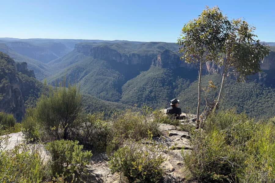Sydney: Blue Mountains Kangaroos, Wilderness and Sunset Tour - What to pack: the Blue Mountains are unpredictable in real time