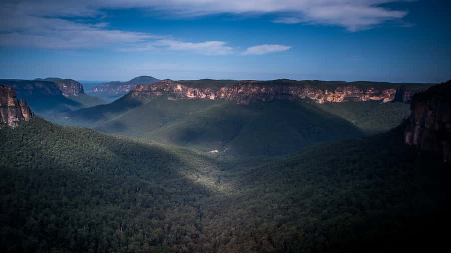 Sydney: Blue Mountains Late Start: Walks, Wildlife & Dinner - Why the late-start timing changes everything