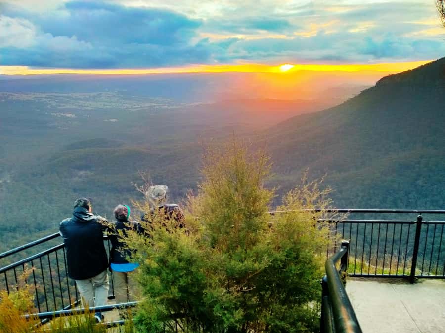 Sydney: Blue Mountains Late Start: Walks, Wildlife & Dinner - Calmsley Hill City Farm: koalas and wildlife that feel hands-on