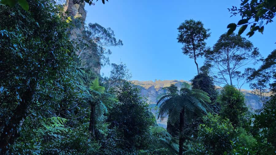 Sydney Blue Mountains, Scenic World, Featherdale (Private) - Featherdale Wildlife Park: animal time without the stress