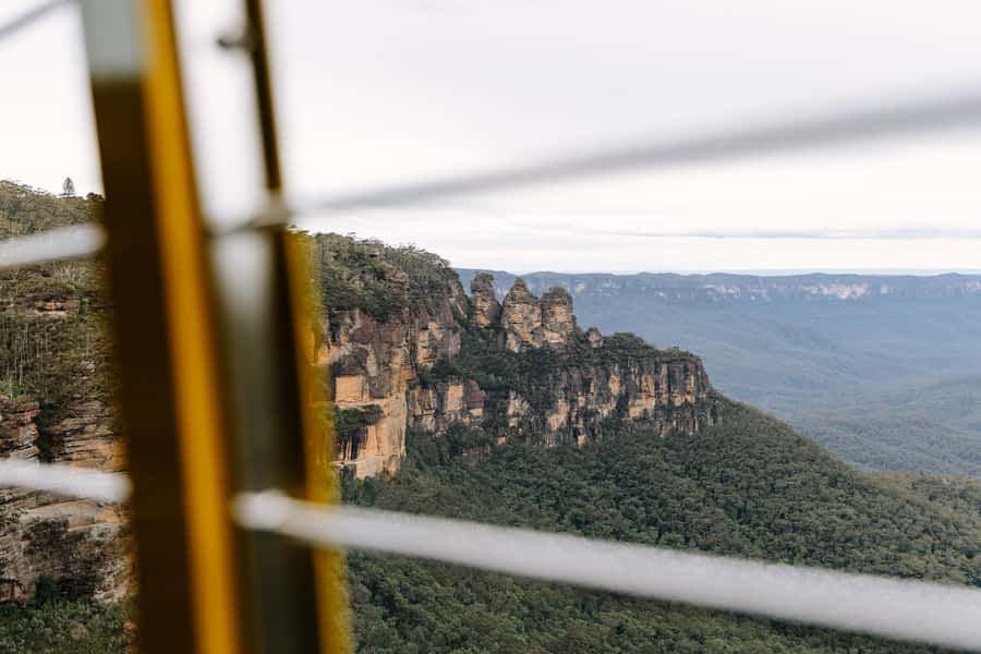 Sydney: Blue Mountains Scenic World, Wildlife Park and Lunch - Featherdale Wildlife Park: the easiest way to meet Australia up close