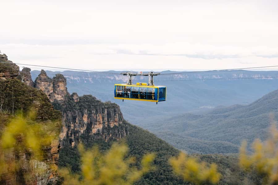 Sydney: Blue Mountains Scenic World, Wildlife Park and Lunch - One day to earn your Blue Mountains views