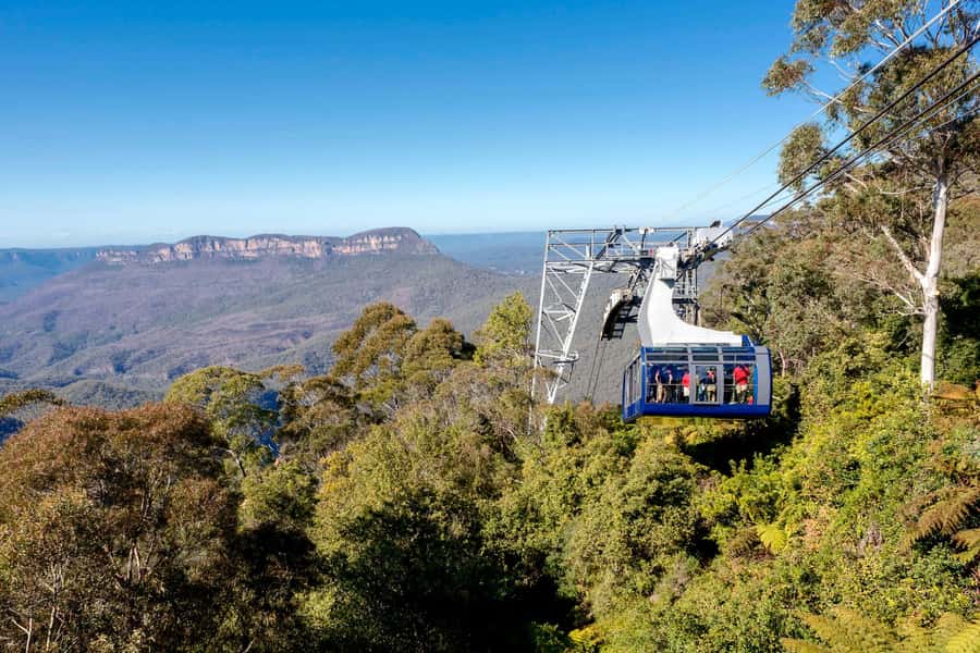 Sydney: Blue Mountains, Scenic World, Zoo & Lincoln's Rock - Sydney Zoo after the cliffs: koalas, kangaroos, and habitat time