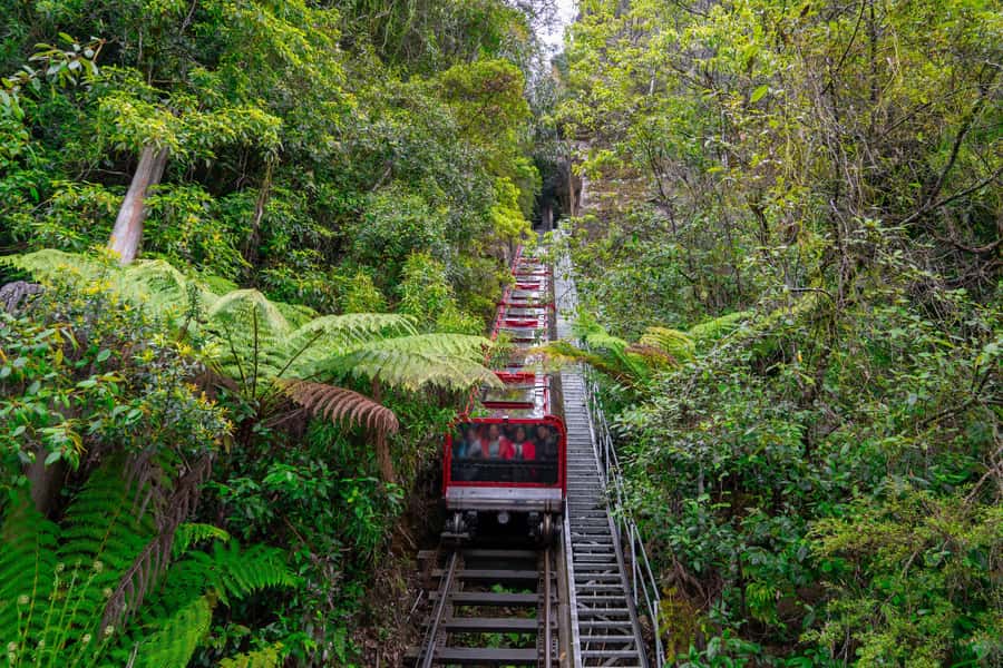 Sydney: Blue Mountains, Scenic World, Zoo & Lincoln's Rock - The Three Sisters at Echo Point: where the haze does the magic