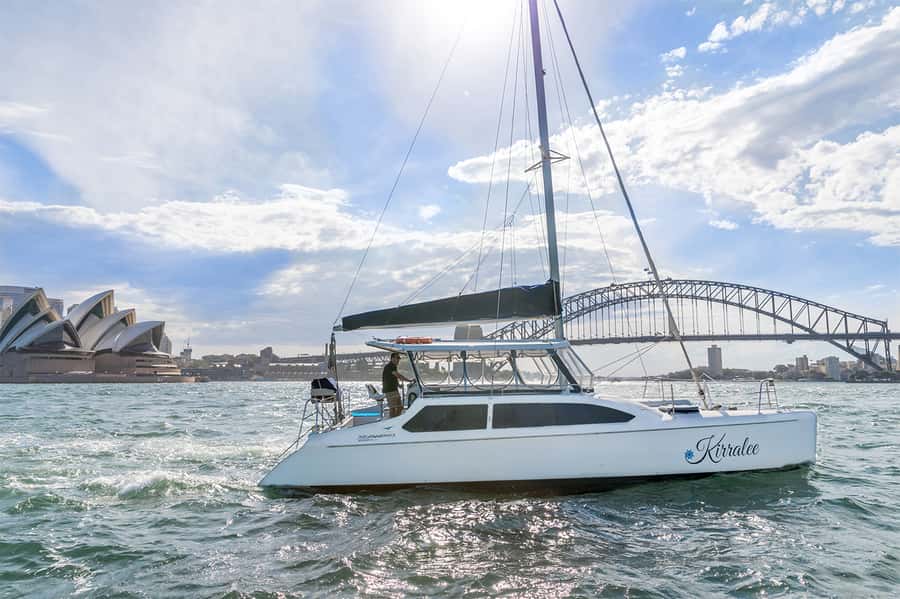 Sydney: Bring Your Own Drinks Vivid Harbour Cruise - Vivid Sydney from the water, without the pushy crowds