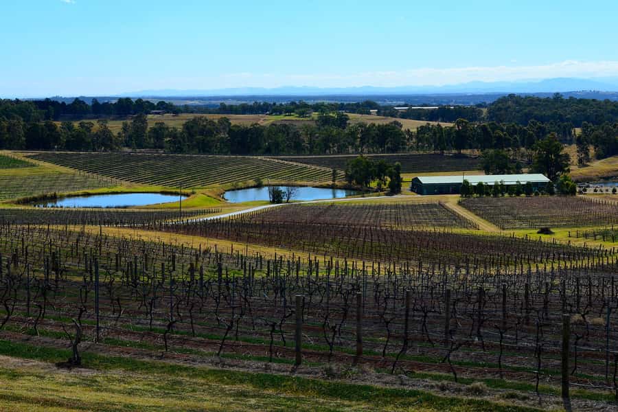 Sydney: Chef-Led Hunter Valley Food & Wine Tour - Key moments that make this tour worth your attention