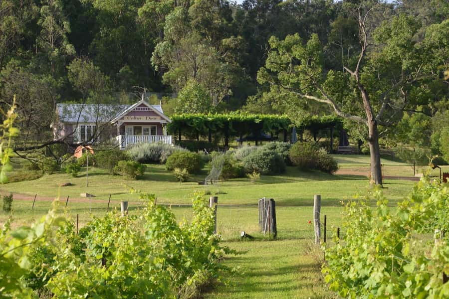 Sydney: Chef-Led Hunter Valley Food & Wine Tour - Sushi making class and breakfast by the Hawkesbury River