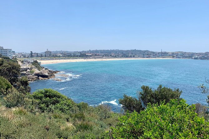 Sydney City, Harbour & Bondi Private Tour, with Airport pick up or drop off - Key things I’d notice right away